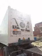 42523