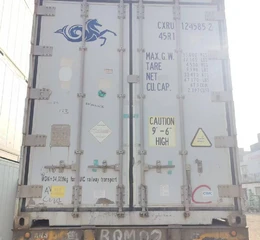 54981