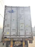 54981
