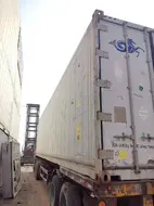 54981