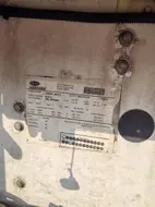 54981