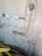 54974