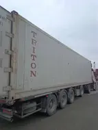 54955