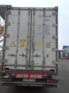 54955