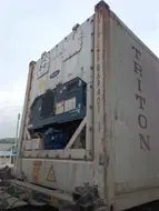54955