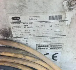 55198