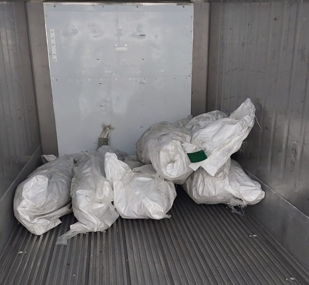 Хранение и перевозка рыбы в рефрижераторном контейнере